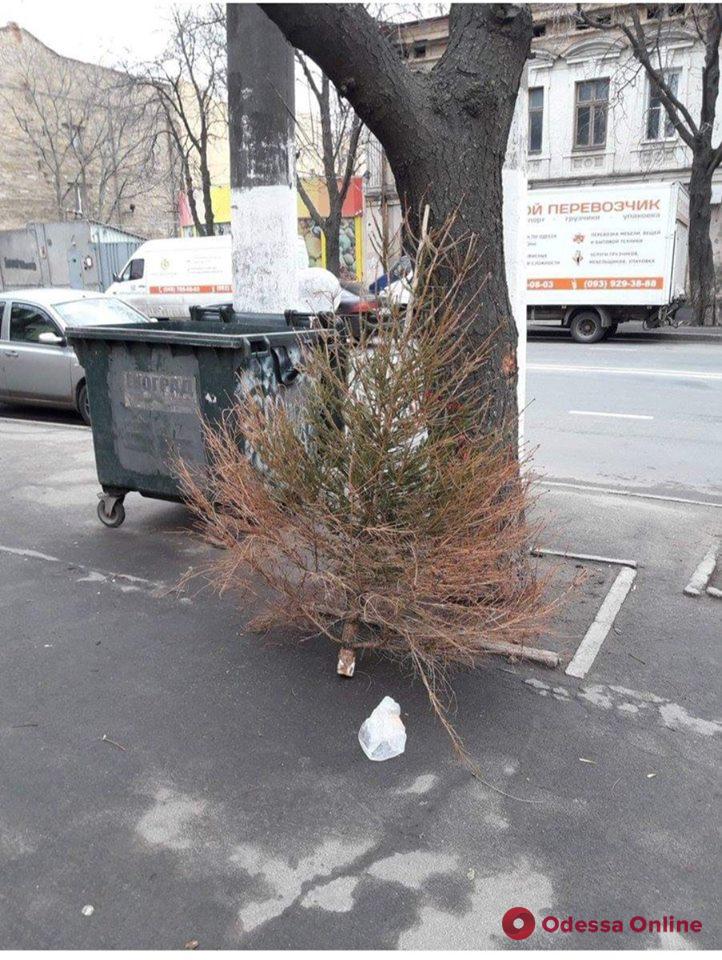 Продержались: перед Новым годом одесситы выбросили старую елку (фото)