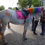 В Одессе проверят условия содержания «работающих» лошадей