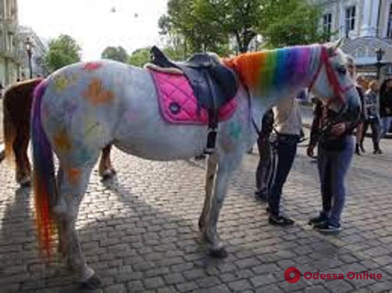 В Одессе проверят условия содержания «работающих» лошадей