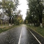 В одесских зеленых зонах хотят установить тревожные кнопки