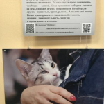 В Одессе проходит фотовыставка спасенных животных (фоторепортаж)