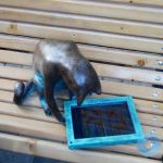 Теперь Пушинка: в центре Одессы раздели скульптуру кошки-геймера