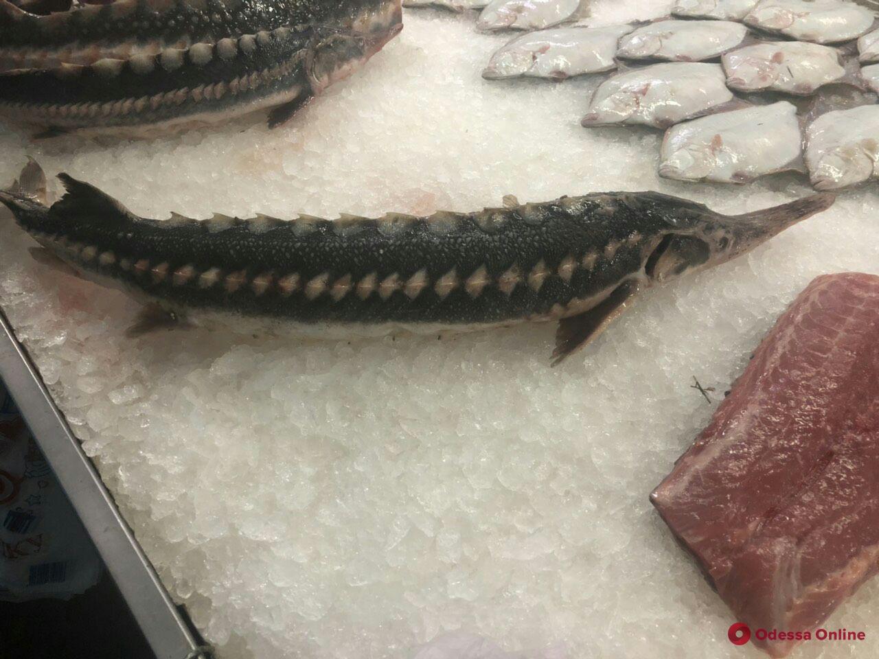 Под Одессой незаконно торговали краснокнижной рыбой