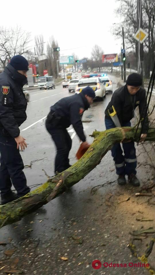 На поселке Котовского патрульные освободили дорогу от упавшей ветки