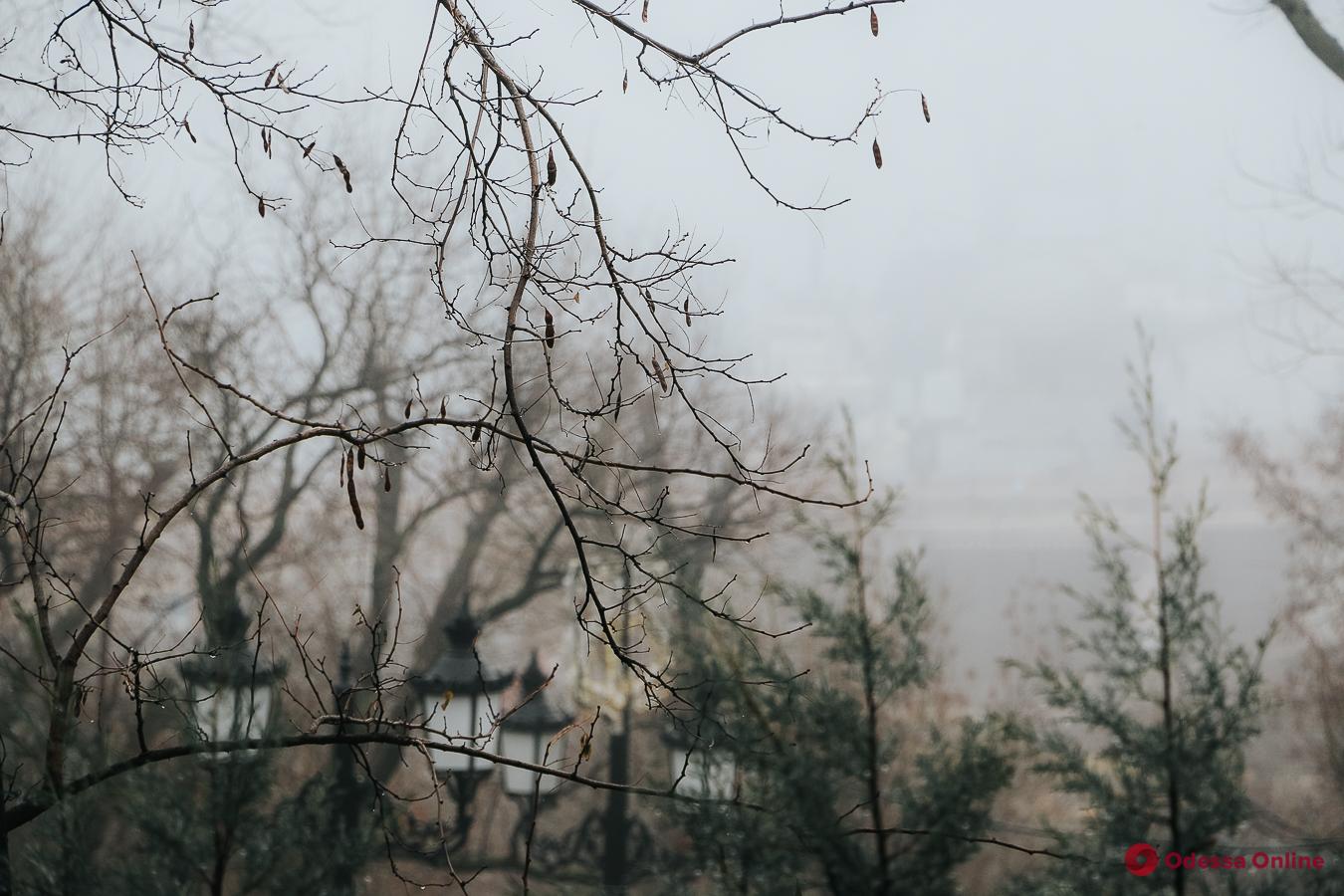 Завтра в Одессе снова ожидается туман