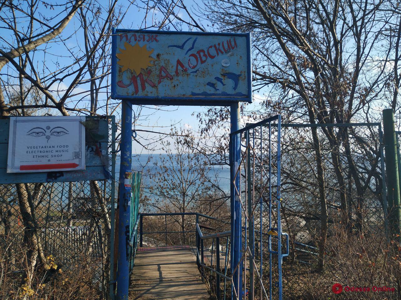 «Доступ к пляжу ограничен не будет»: представитель застройщика рассказал, что будет на «Чкаловском»