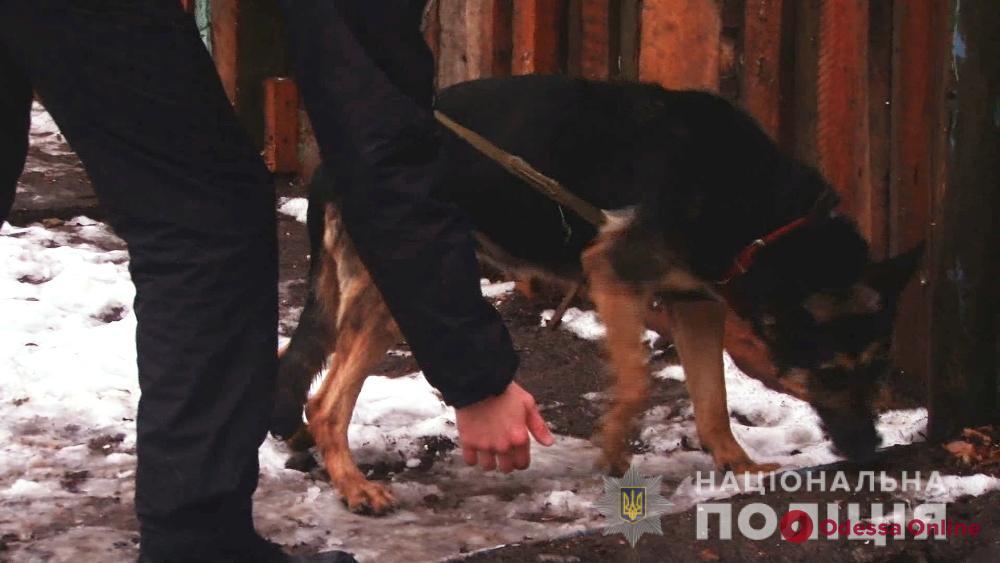 В Одесской области служебные собаки за год помогли раскрыть более тысячи преступлений