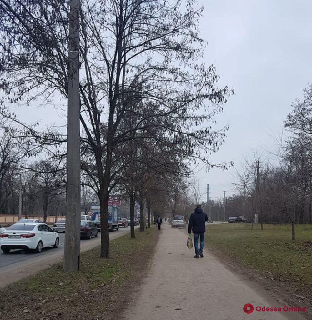 Одесса: на Люстдорфской дороге образовалась «глухая» пробка
