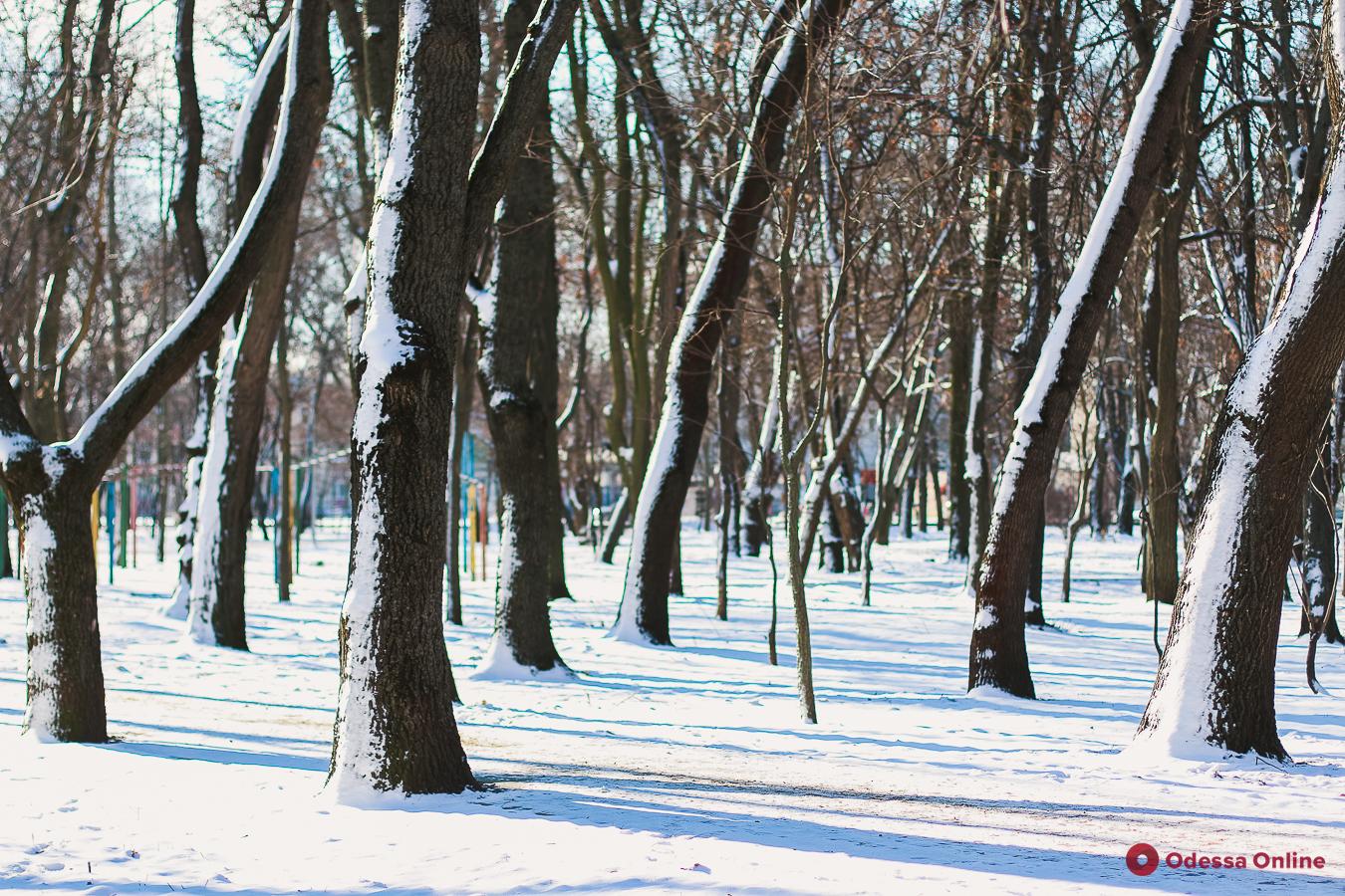 Преображенский парк в снегу (фоторепортаж)