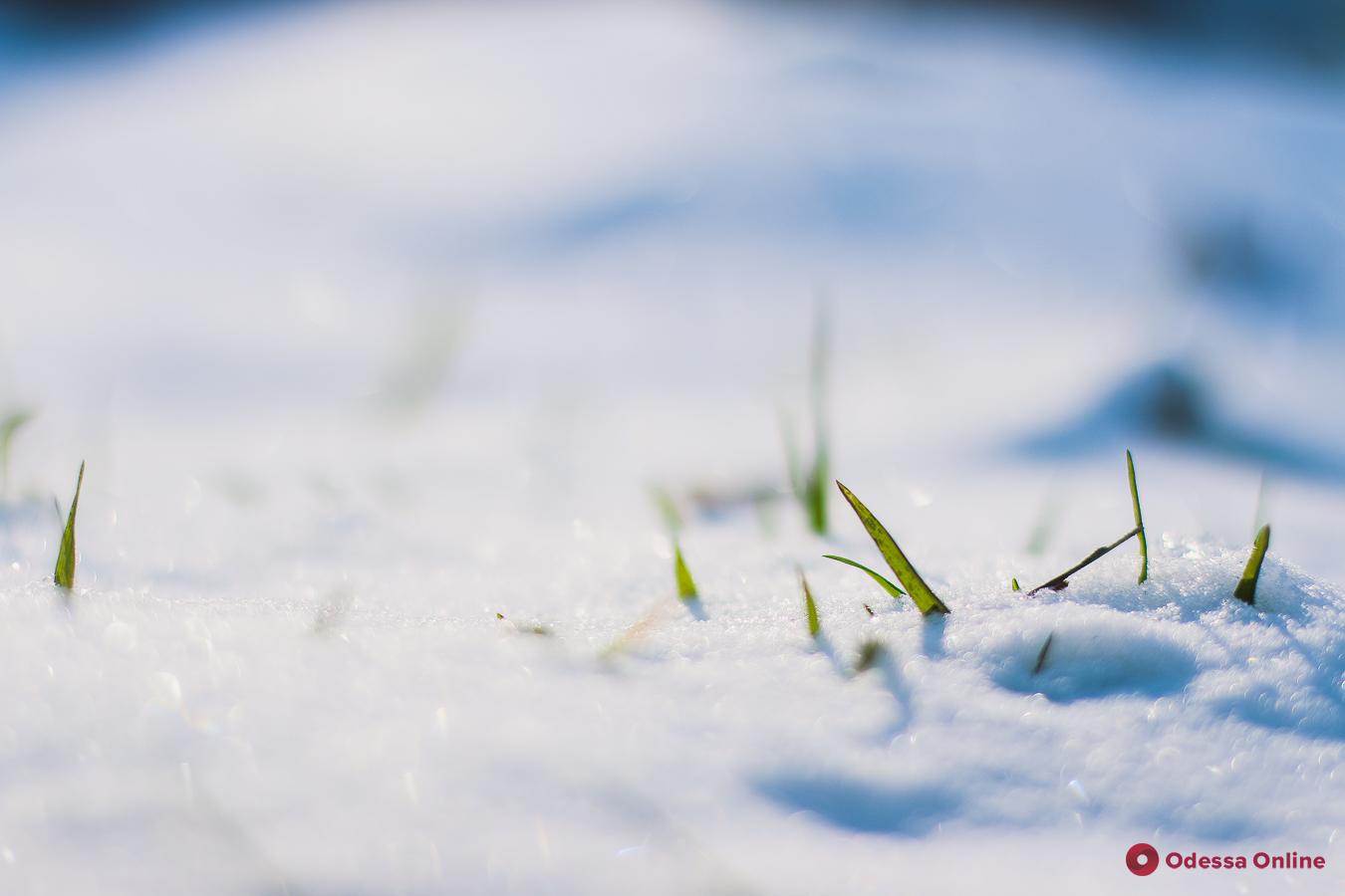 Преображенский парк в снегу (фоторепортаж)