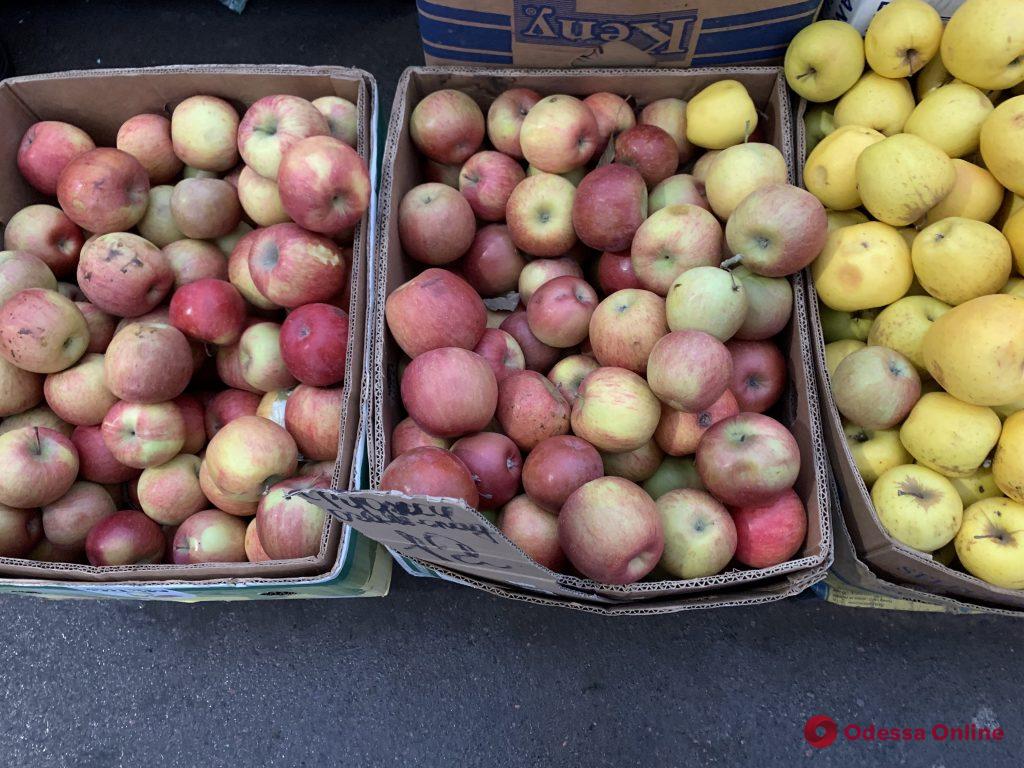 Яблоки, мандарины и редис: воскресные цены на одесском «Привозе»