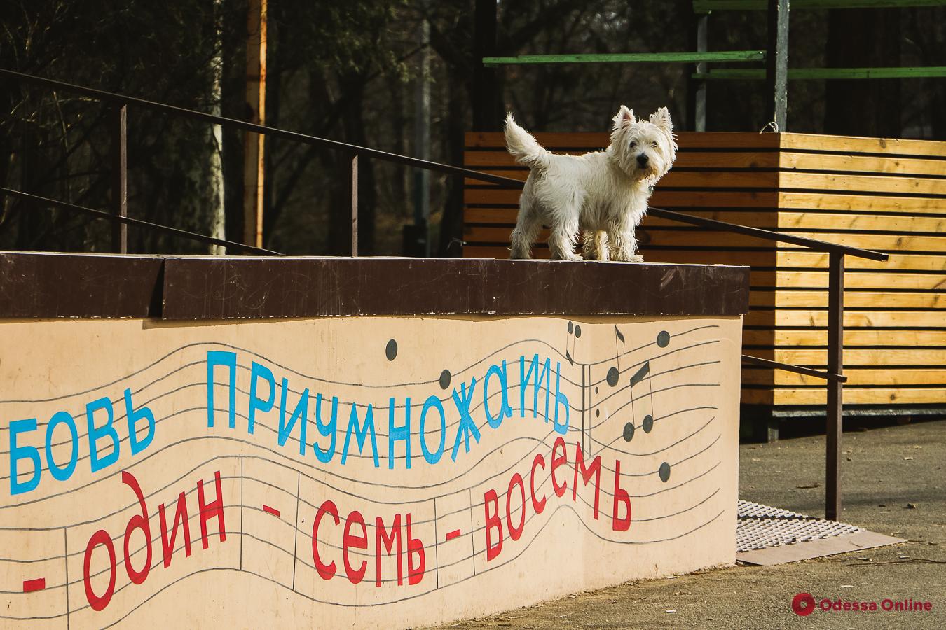 Февральский день в парке Шевченко (фоторепортаж)