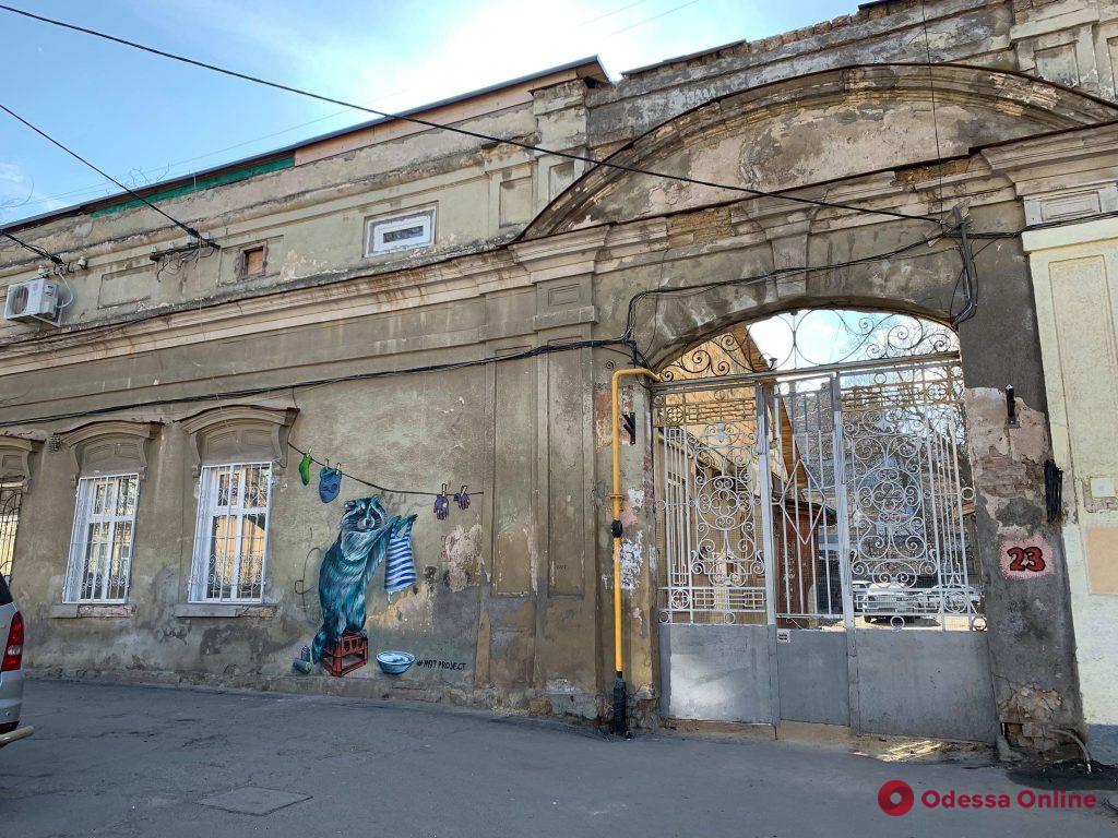 Енот-полоскун: в Одессе появился еще один стрит-арт объект