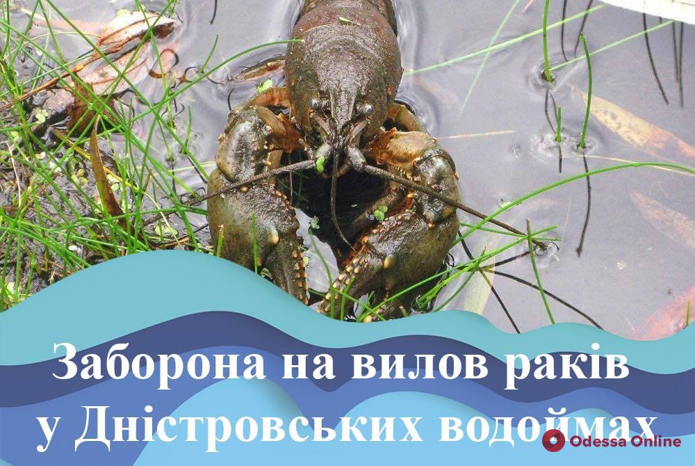 В Одесской области вводится запрет на вылов раков