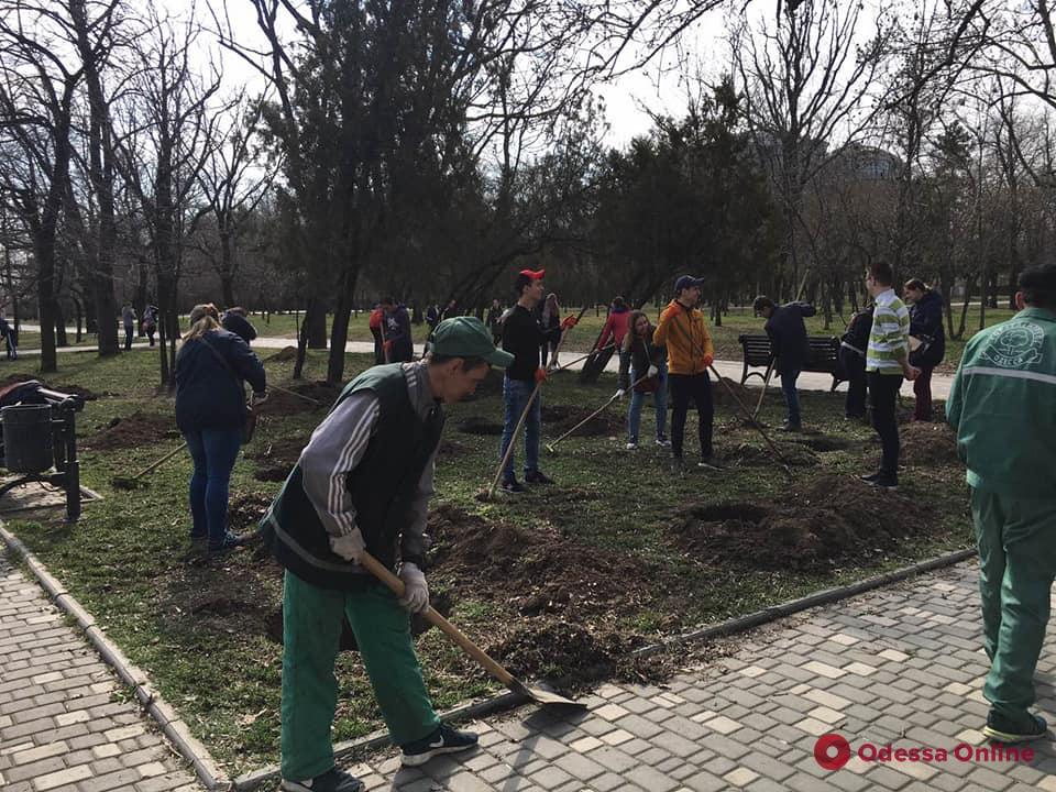 На Французском бульваре и в парке Шевченко высадили молодые деревья