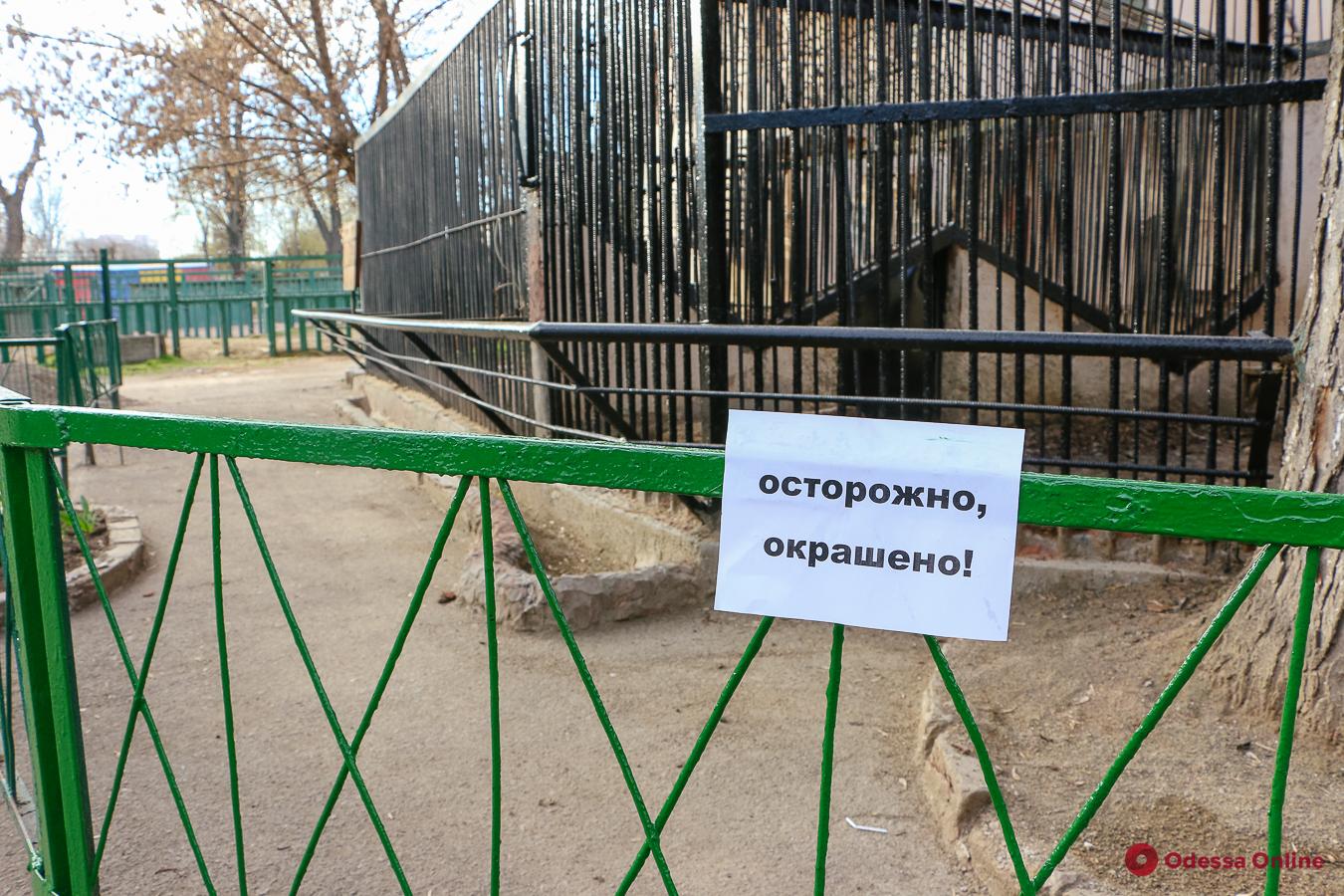 Обитатели одесского зоопарка переехали в летние вольеры