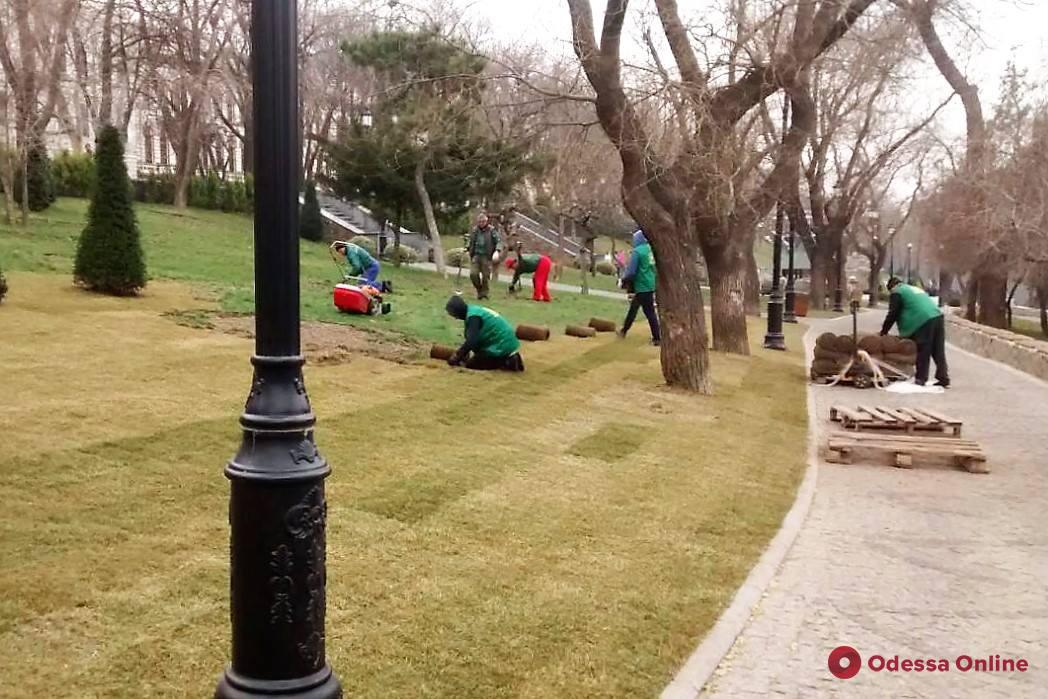 В Стамбульском парке появится новый газон