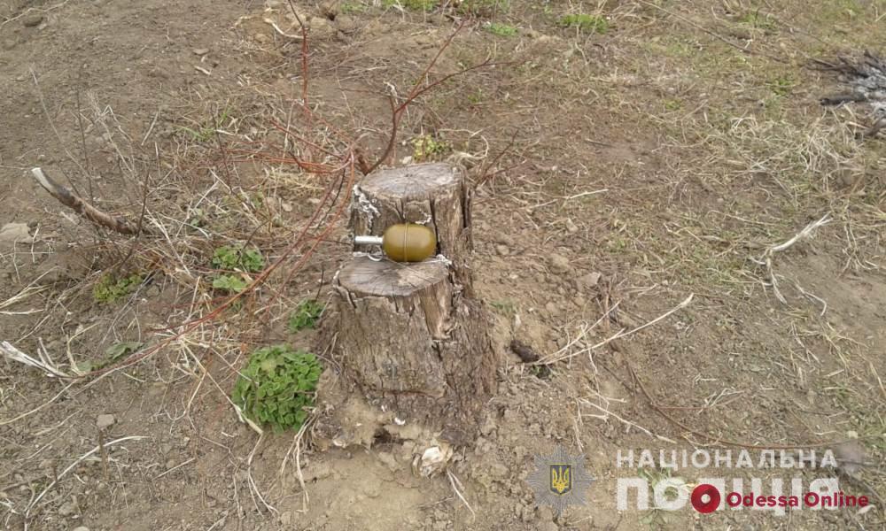 У жителя Одесской области в руке разорвалась граната (обновлено)