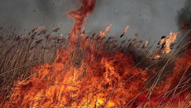 За сутки в Одесской области сгорели пять гектаров сухой травы