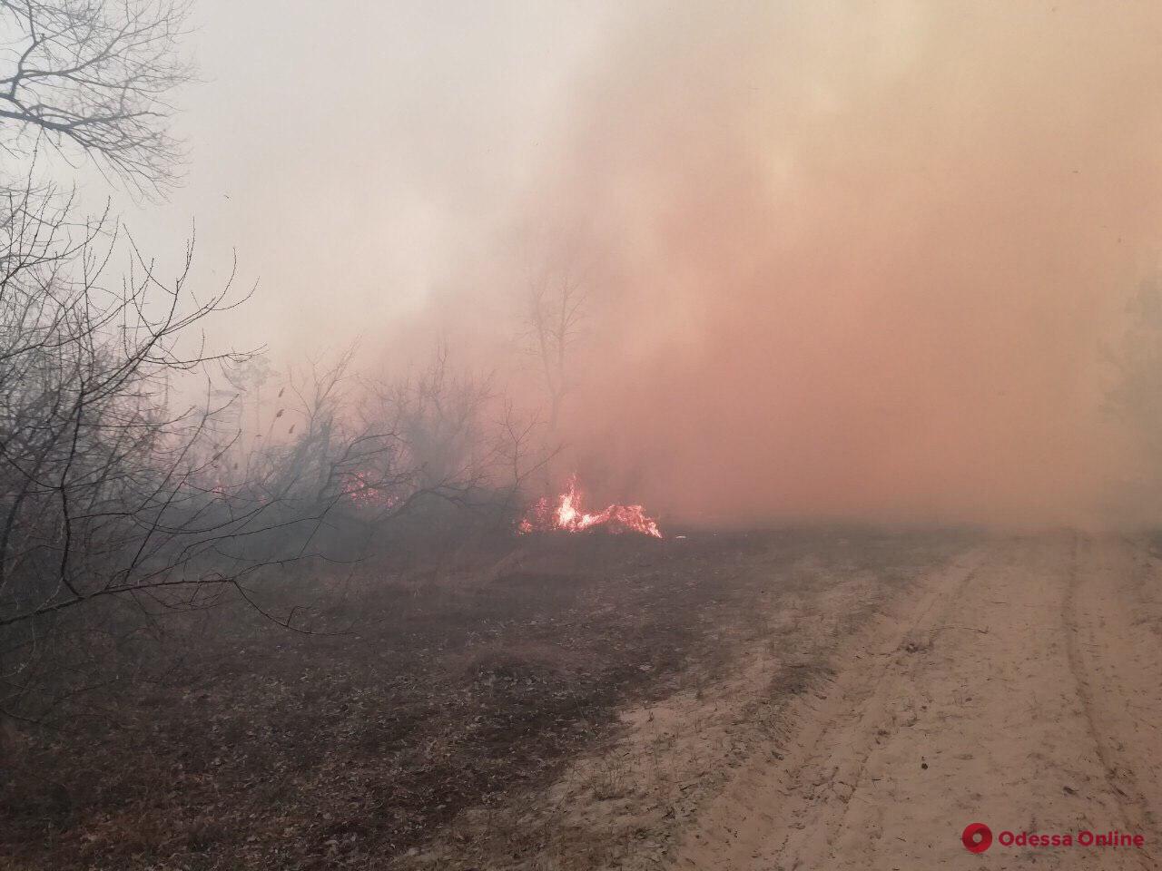 В Вилковском лесничестве тушили пожар