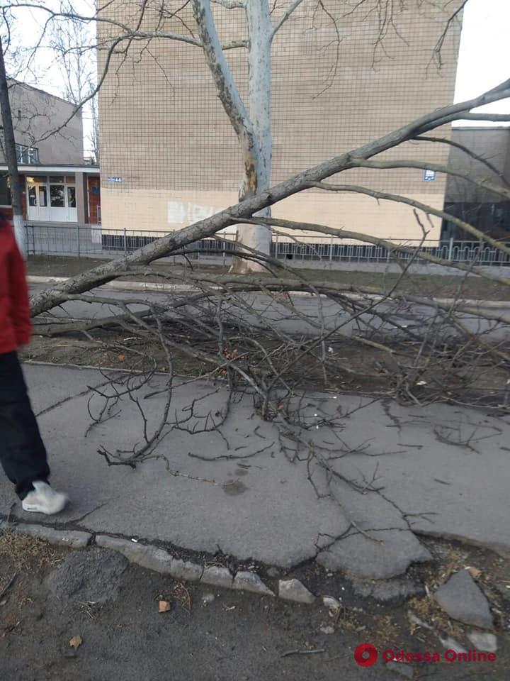 Непогода в Одессе: ветер повалил деревья, билборды и стену торгового центра