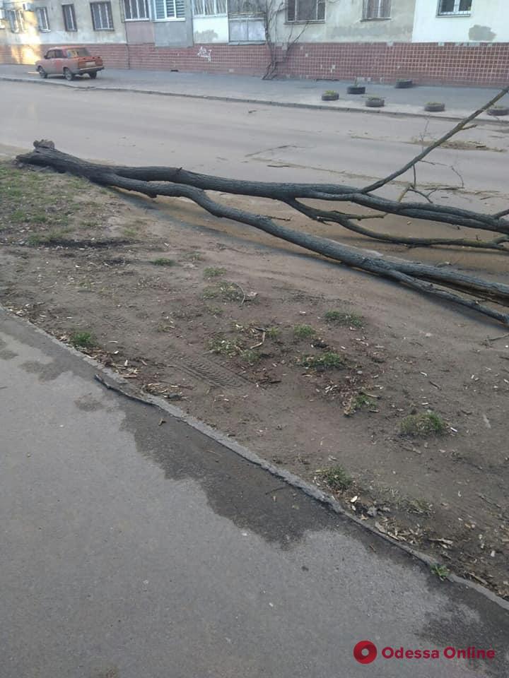 Непогода в Одессе: ветер повалил деревья, билборды и стену торгового центра