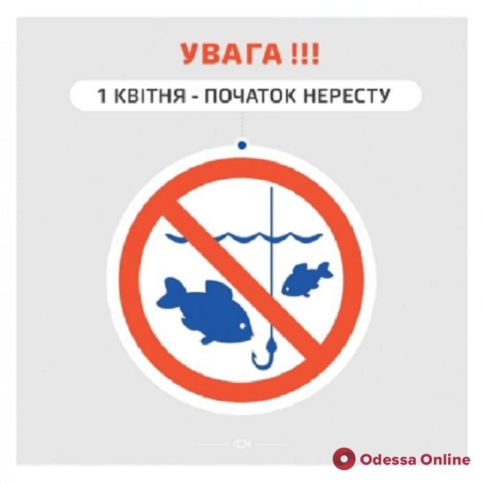 В Одесской области вводится запрет на вылов рыбы
