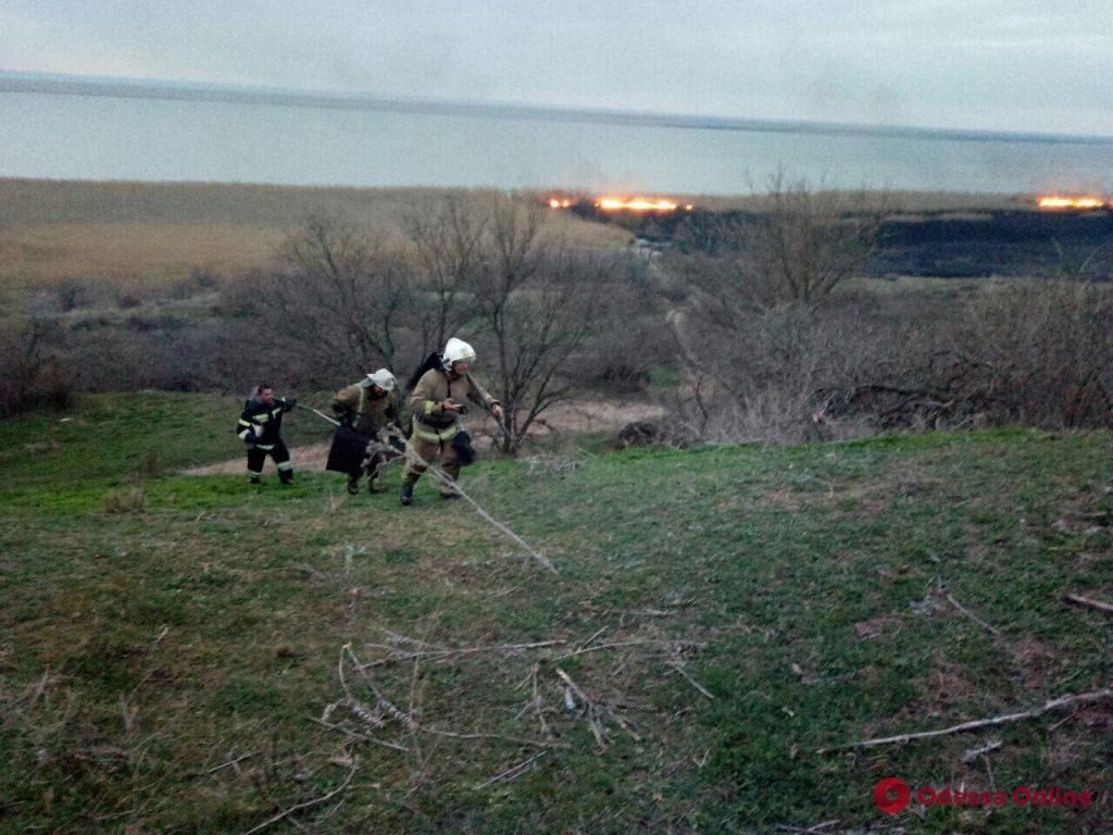 В национальном природном парке в Одесской области был пожар