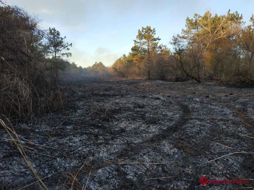 Пожар под Вилково: огонь тушили сутки