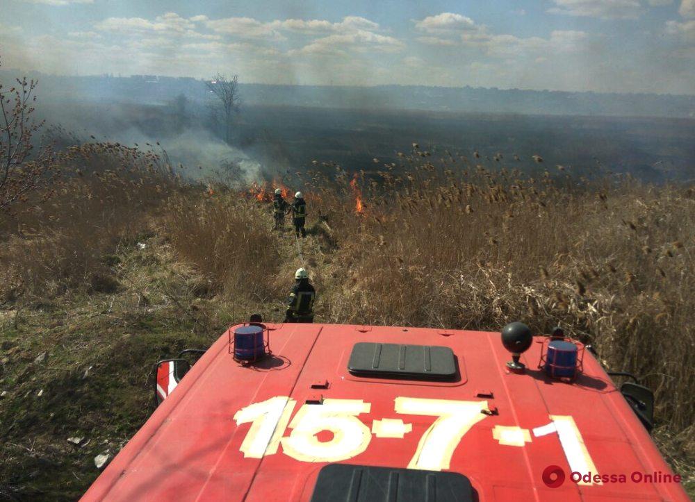 В Одессе на полях орошения горит камыш (обновлено)