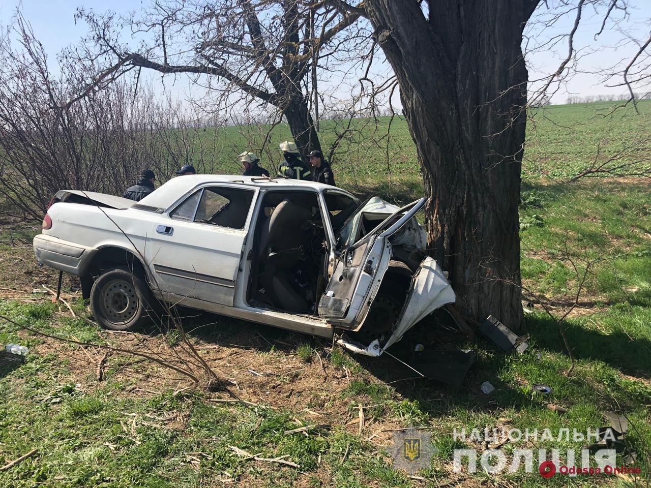 В Одесской области легковушка врезалась в дерево — есть погибшие