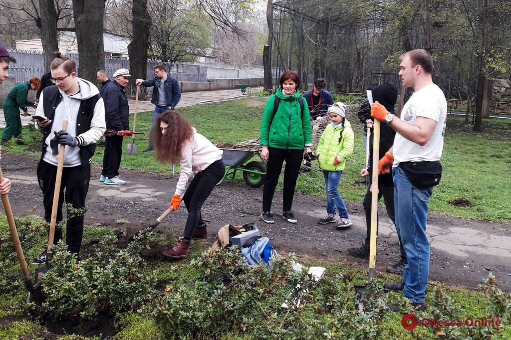 Одесские моржи провели субботник в зоопарке