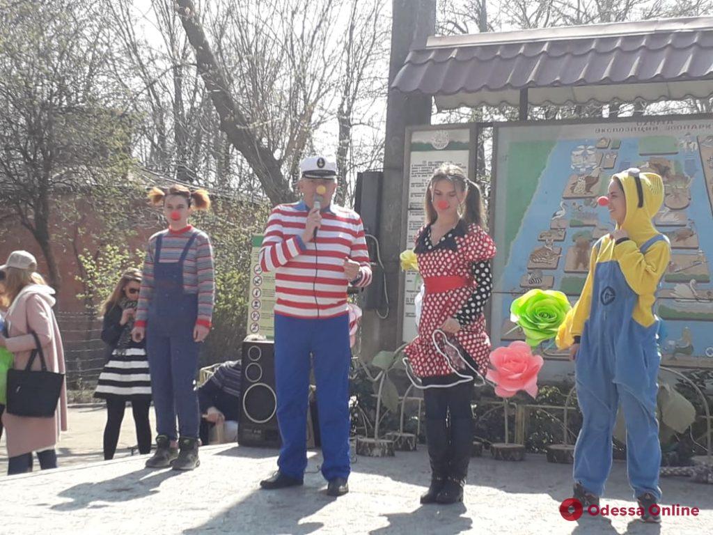 Гонки морских свинок и много смеха: в Одесском зоопарке отпраздновали Юморину
