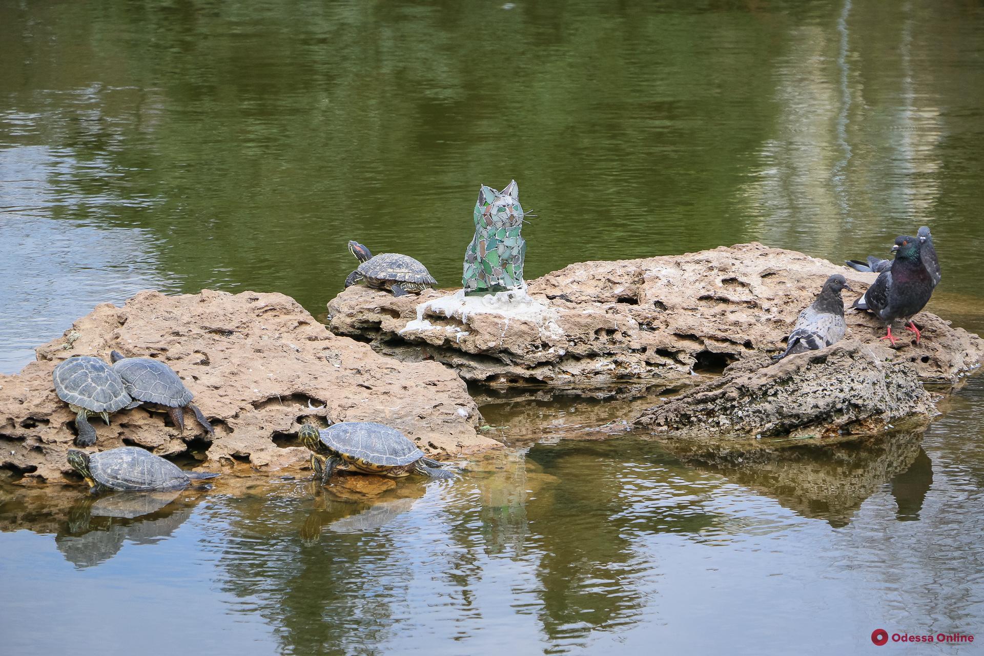 Утки, лебеди и черепахи: прогулка по парку Победы (фоторепортаж)