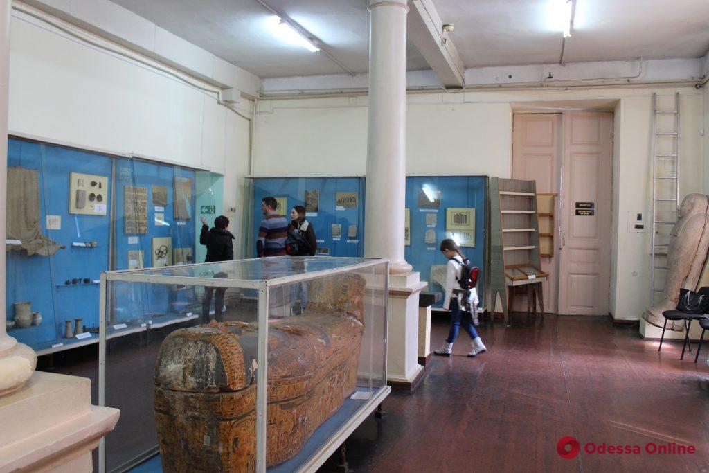 Спасти мумии: в Одесском археологическом музее борются за сохранение уникальной коллекции