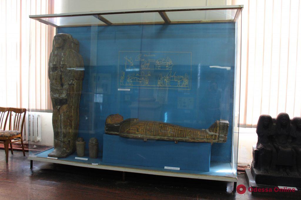 Спасти мумии: в Одесском археологическом музее борются за сохранение уникальной коллекции