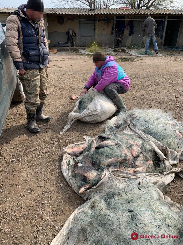 В Одесской области поймали браконьеров с богатым уловом