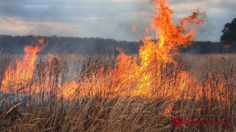 За сутки в Одесской области сгорели шесть гектаров сухой травы