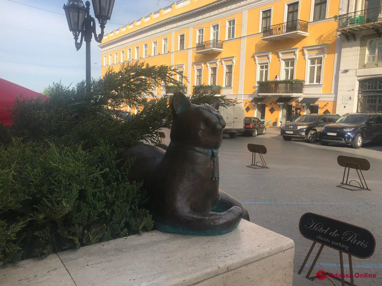 Скульптура кошки Софы «поселилась» в самом центре Одессы