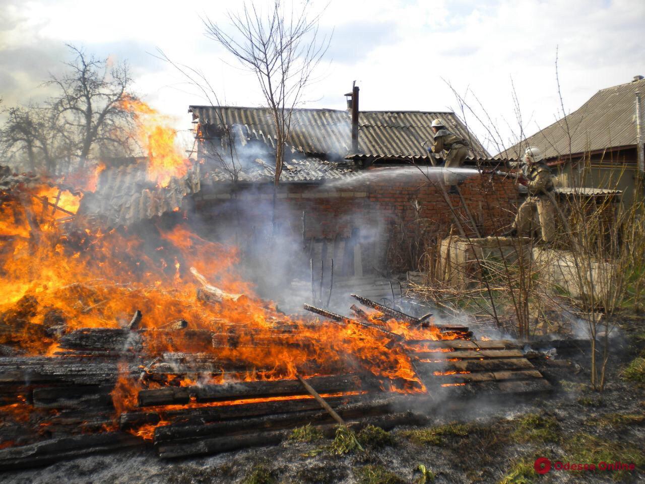 Одесская область: спасатели тушили пожар в частном доме