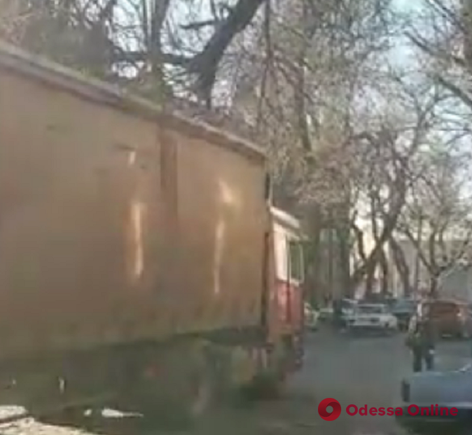 В центре Одессы крупная ветка упала на фуру (видео)