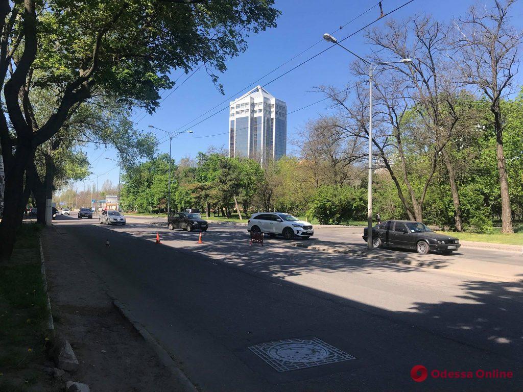 На проспекте Гагарина упавшее дерево повредило троллейбусные провода