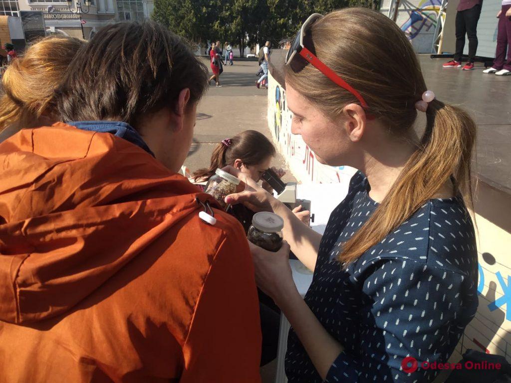 В Одессе проходит первый Экологический фестиваль