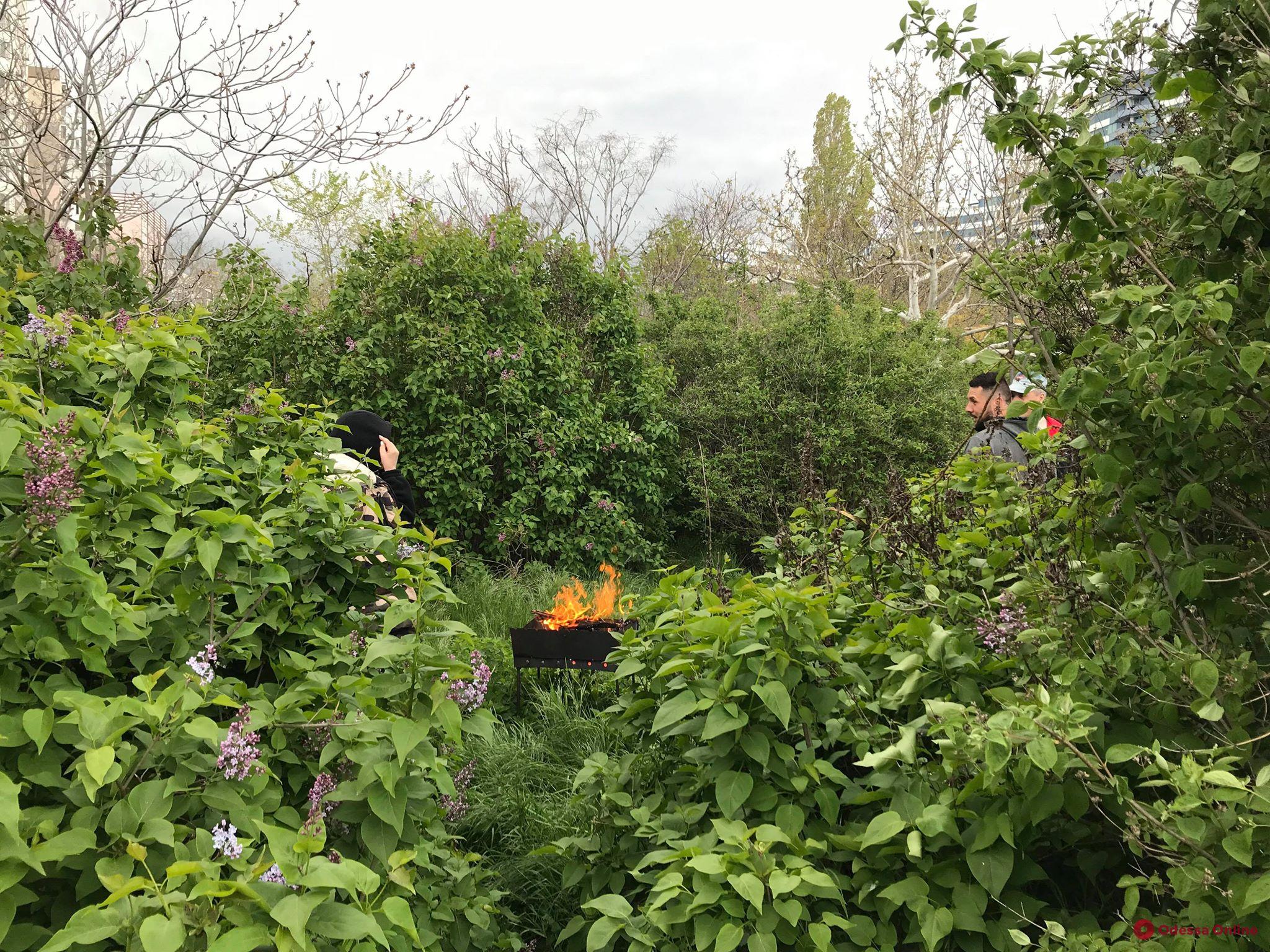 Шашлыки под дождем: как одесситы проводят маевку на природе (фото)