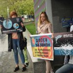 "Дельфины не рабы": под Одесским дельфинарием прошла акция зоозащитников