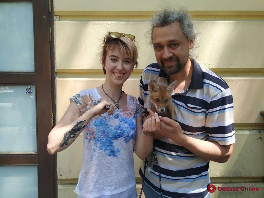 В одесской семье живет лисенок, который гуляет по Дерибасовской и «ведет» свой инстаграм (фото)