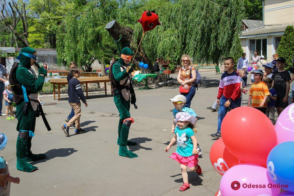 В Одесском зоопарке прошла черепашья гонка (фото)