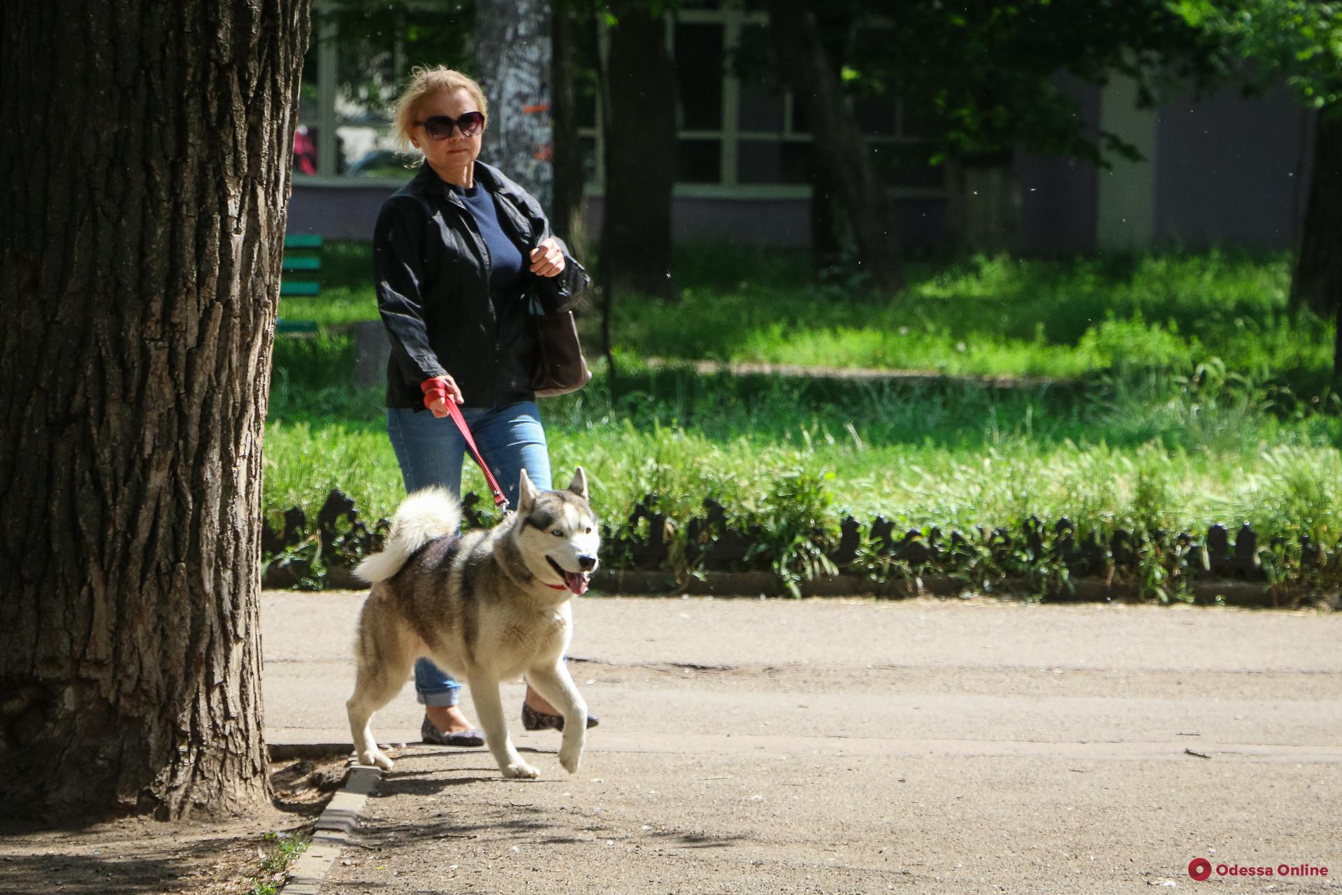 Одесса в лицах: прогулка по Старобазарному скверу (фоторепортаж)