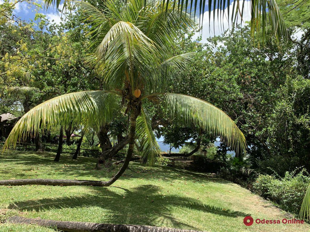 Мир глазами одесситки: сказочный остров Маврикий