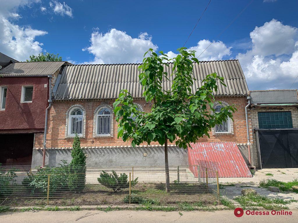 Зелень, львы и леопард: колорит одесской Слободки